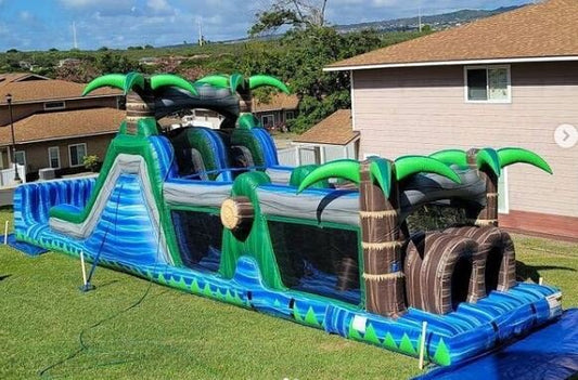 Obstacle Courses: Evergreen Adventure