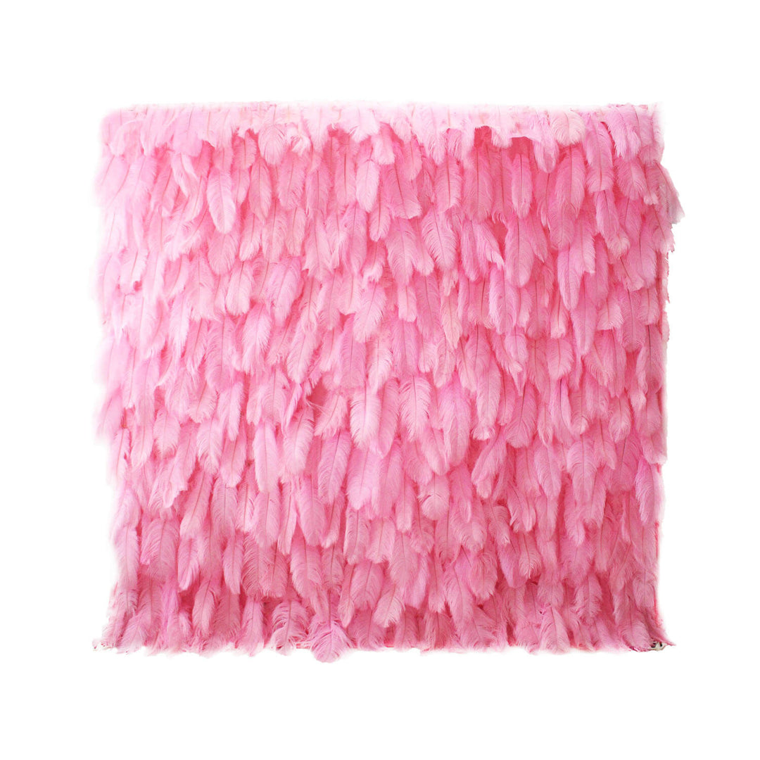 Feather Walls