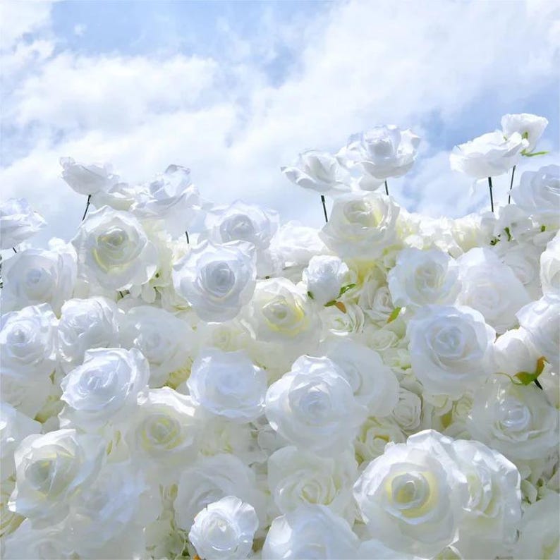 White Flower Wall Backdrop Rentals   Atlanta, GA