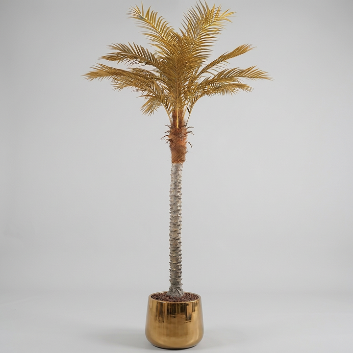 Artificial Phoenix Palm Tree – 7ft Tall Rental, Atlanta