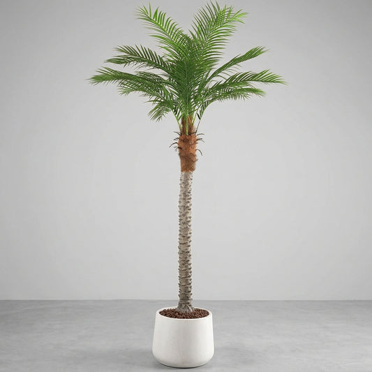 Artificial Phoenix Palm Tree – 7ft Tall Rental, Atlanta