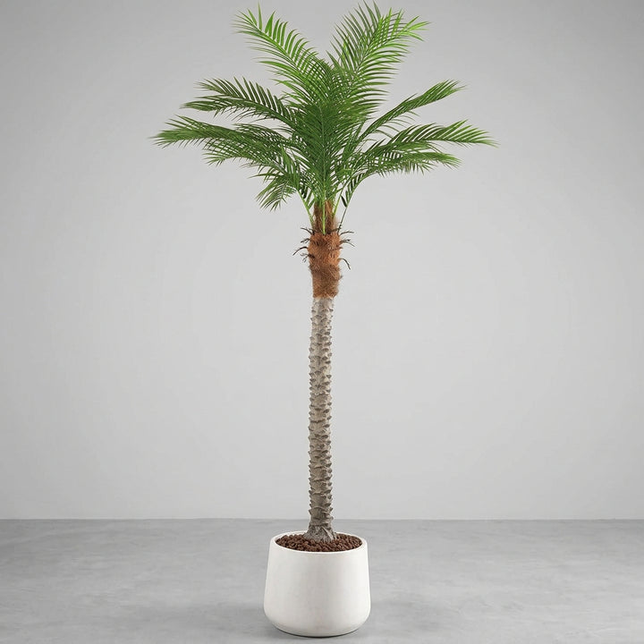 Artificial Phoenix Palm Tree – 7ft Tall Rental, Atlanta
