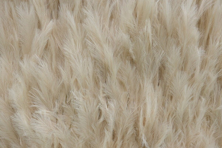 Pampas Grass Wall Rentals in Atlanta, GA