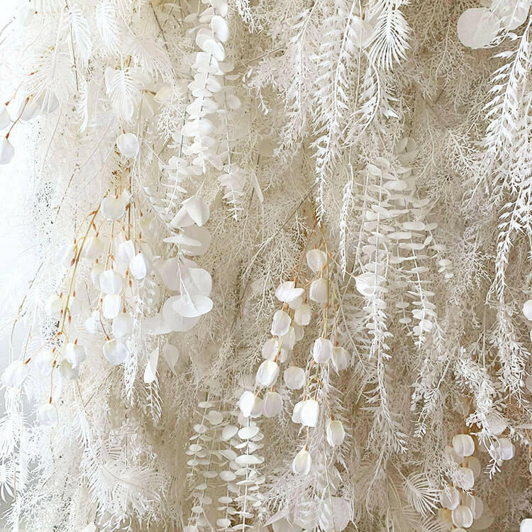 Pampas Walls
