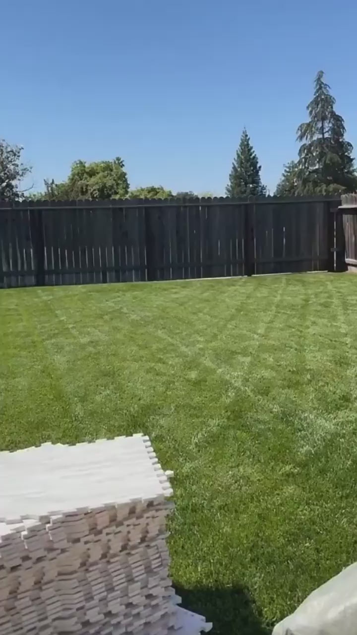 Bouncy house and Ball Pit (mini)